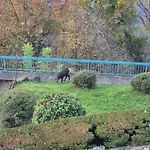 Architect House With Gorgeous View & Wildlife Villa *