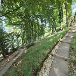 Architect House With Gorgeous View & Wildlife * Montreux