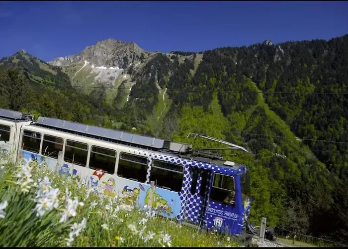 Architect House With Gorgeous View & Wildlife *