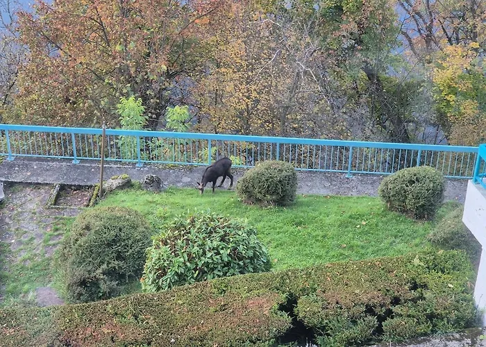 Architect House With Gorgeous View & Wildlife 빌라 *