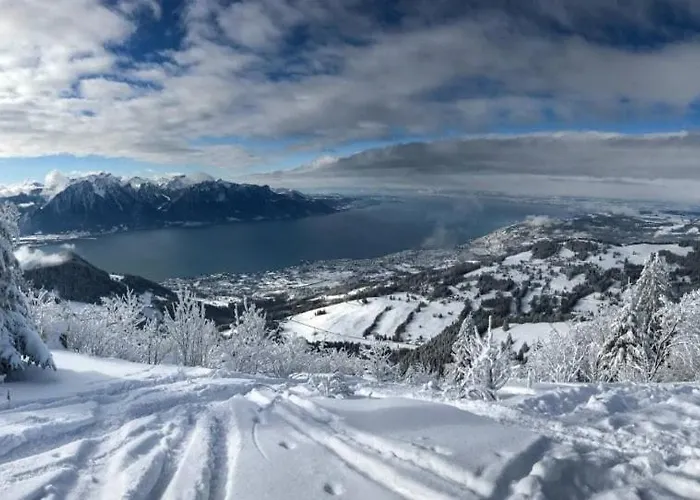 Architect House With Gorgeous View & Wildlife 빌라