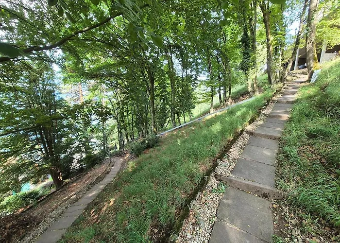 Architect House With Gorgeous View & Wildlife * Montreux