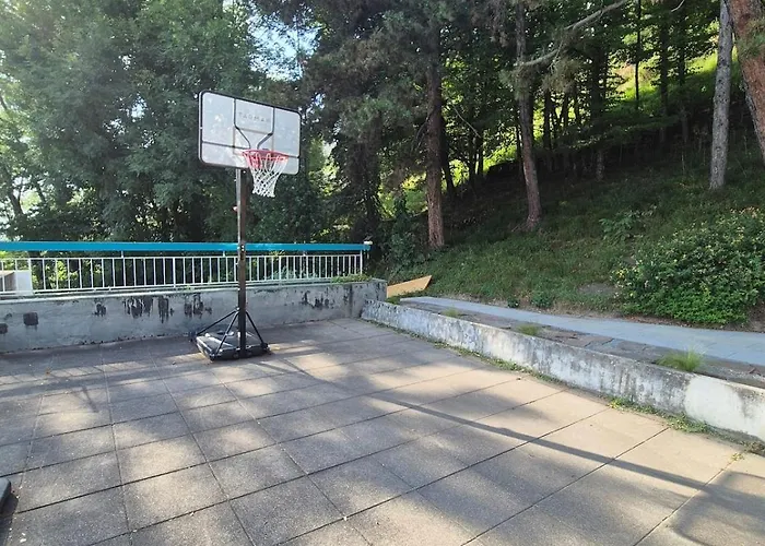 Architect House With Gorgeous View & Wildlife Montreux